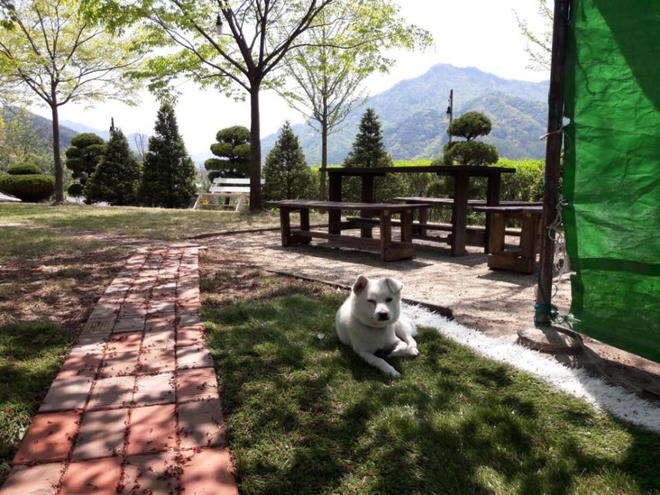 Chamjoeun Pension Chechon Экстерьер фото
