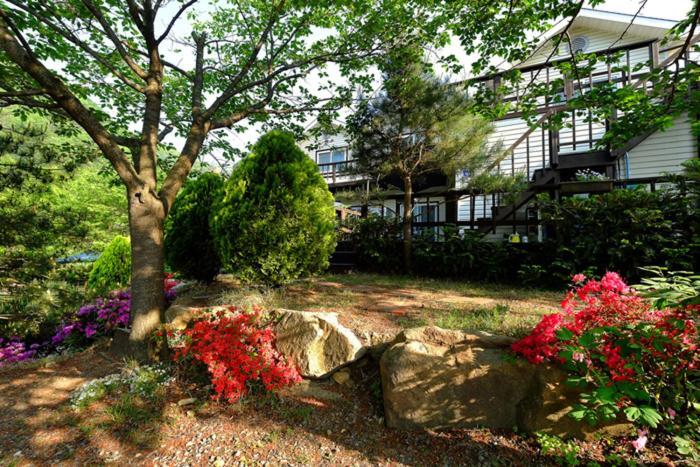 Chamjoeun Pension Chechon Экстерьер фото